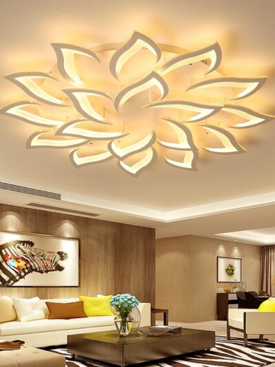 LED Ceiling Light
