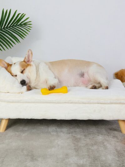 Elevated Pet Bed,Nordic Pet Stool Bed with Cozy Pad Waterproof, Pet Sofa Bed with Sturdy Wood Legs