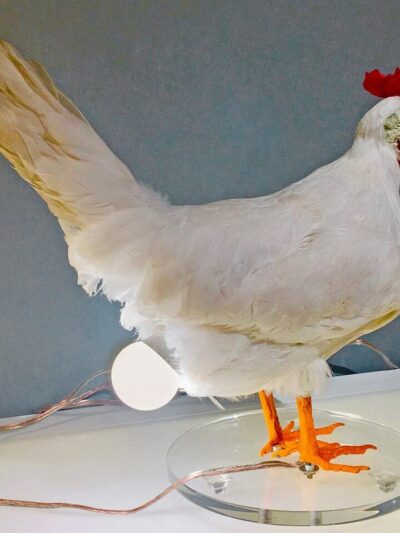 led creative night light Hen lays eggs bedside table lamp novelty lamp funny gift home decoration night lamps rechargeable lamp